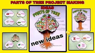 Parts Of Tree Project \\How To Make Project Parts Of Tree \\ Parts Of Trees Drawing Easy