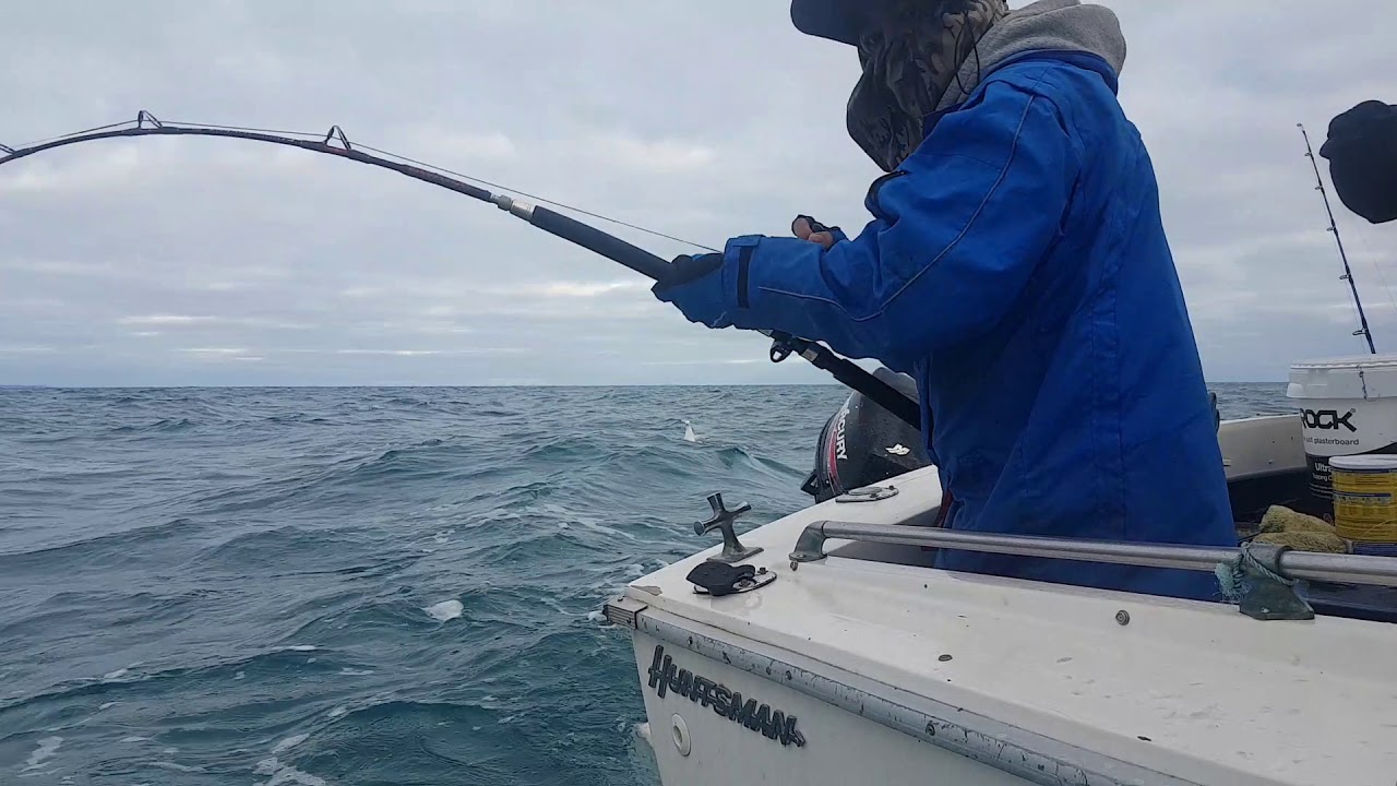 Blue Morwong - Queen Snapper down Cape Jervis SA - YouTube