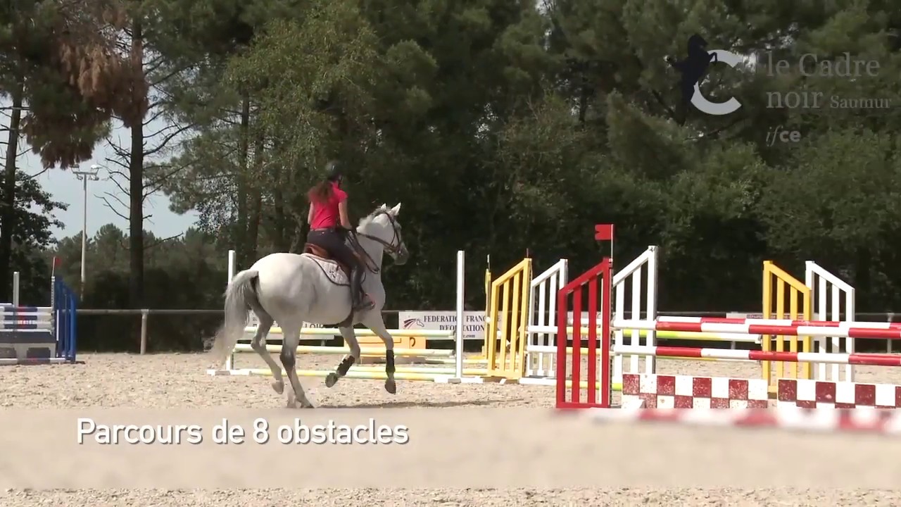 Bpjeps Spécialité Educateur Sportif Mention Activités - 