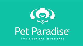 It's A New Day At Pet Paradise ☀️