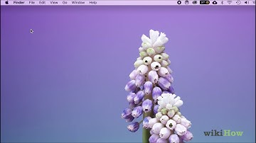 How to Find Your IP Address on a Mac