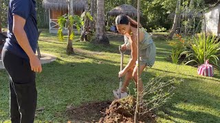 Ep. 989: Planting More Trees