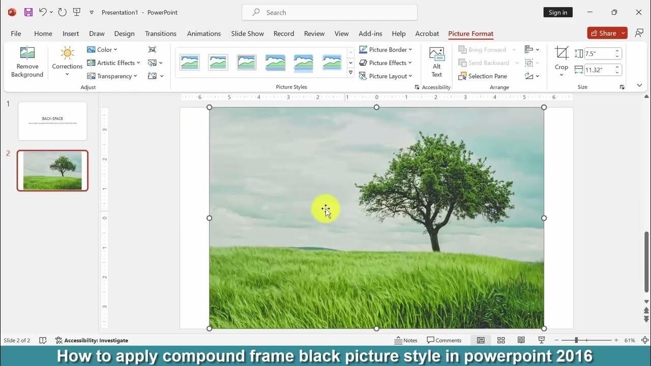 How To Apply Compound Frame Black Picture Style In PowerPoint 2016 how-to-apply-compound-frame-black-picture-style-in-powerpoint-2016