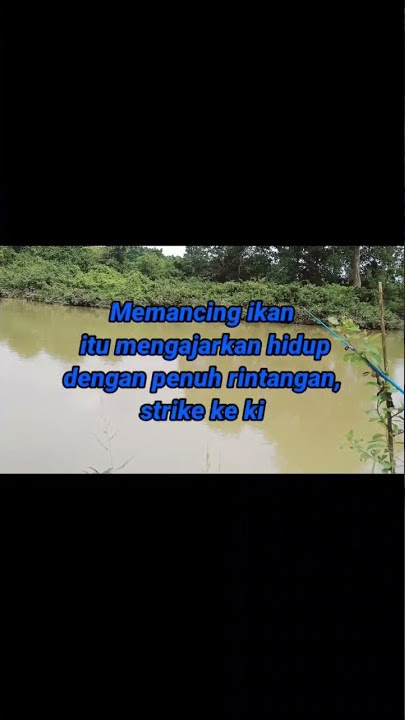 story mancing 30 detik #shorts #mancing