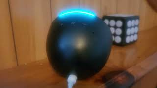 Alexa sorry I'm having trouble connecting to the internet Wealth