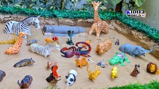 Herbivore, Carnivore & Omnivore Jungle Animals Adventure in the Mud! 🦒🐅🐘 | Kidiez World TV