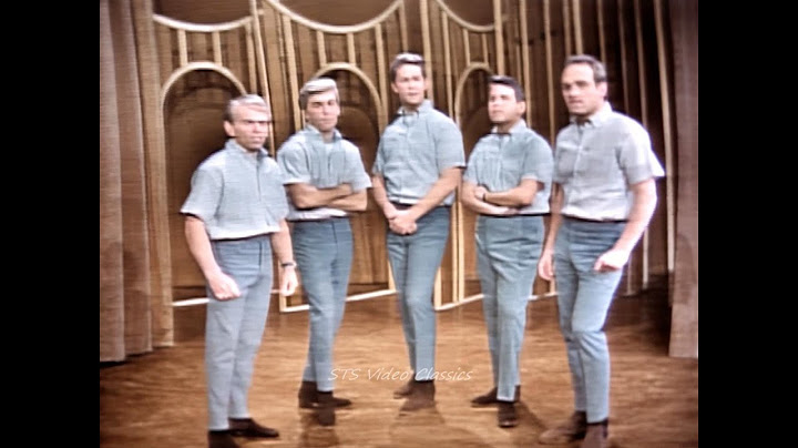 NEW 📀 Don't Worry Baby - Beach Boys {Stereo} 1964