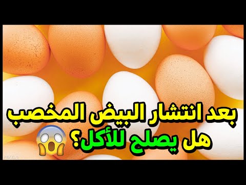 فيديو: من يأكل البيض المخصب؟