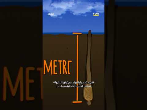 محصول ينتج ملايين الدولارات