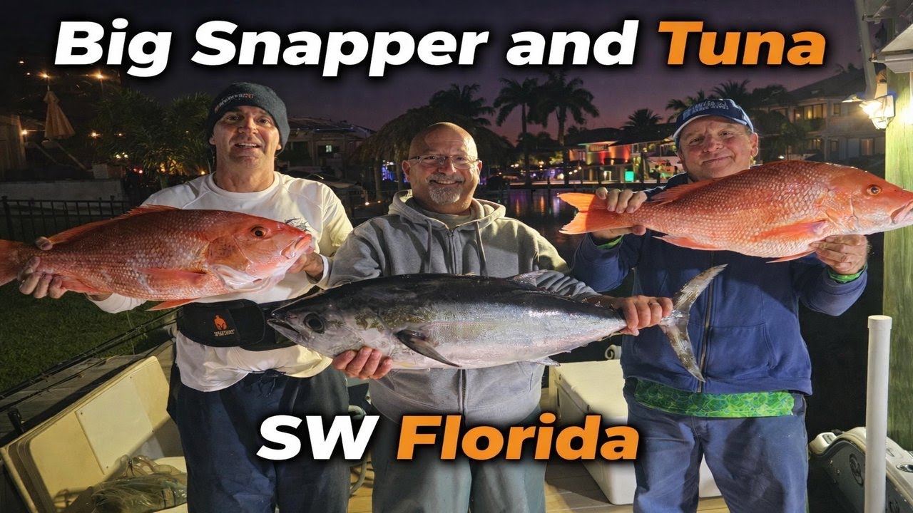 American Red Snapper SW Florida Pt 2, (Catch Clean Cook)