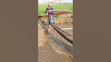 The process of flowing water to the rice fields #shorts