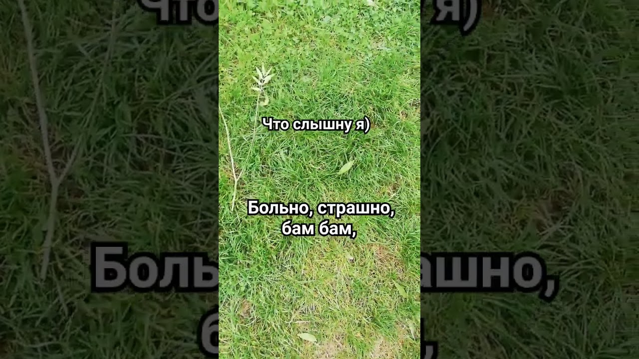 preview_player