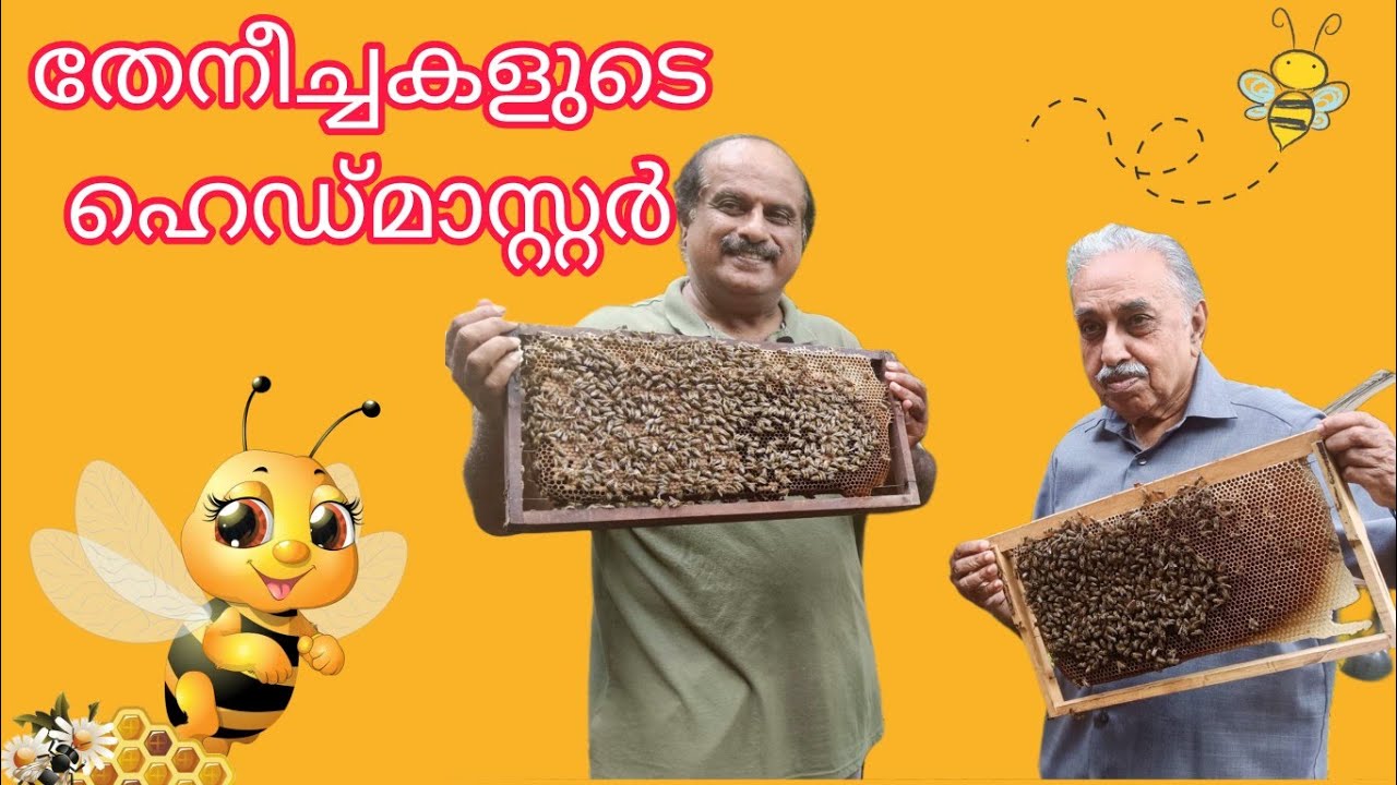 honey bees video#bee farming#bee# apiculture