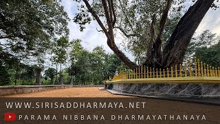 වෙසක් පොහොය​ 2025  ~ මීවනපලානේ සිරි ධම්මාලංකාර මහා අරිහත් බුදුපියානන් වහන්සේ ~ Siri Saddharmaya screenshot 5
