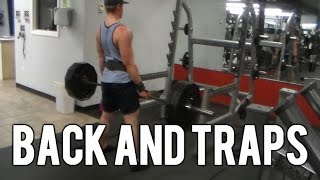 Back And Traps Workout: High Volume - Hitting The Back From Different Angles