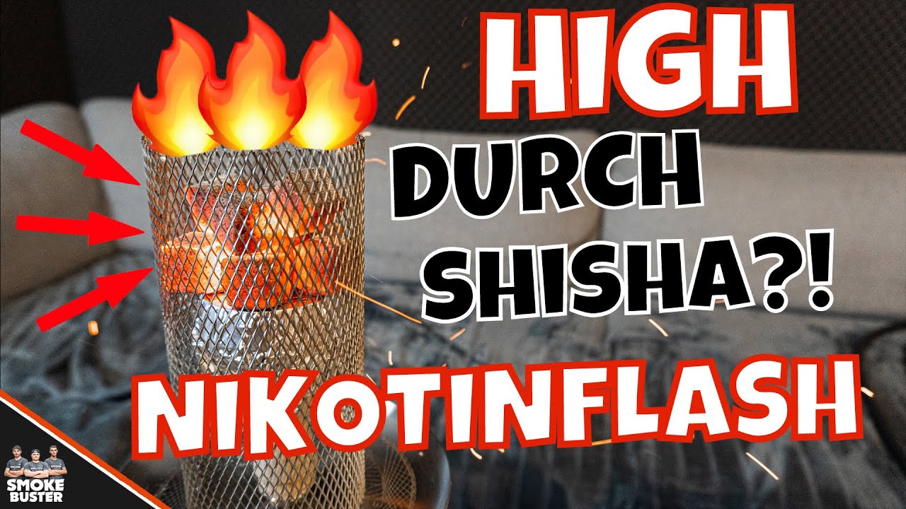 HIGH durch SHISHA ?! Heftiger Nikotinflash #DonTryThis #Zerstrung