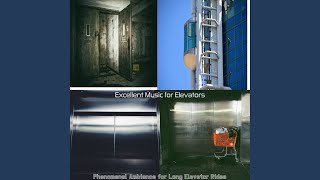 Elegant Ambiance for Long Elevator Rides
