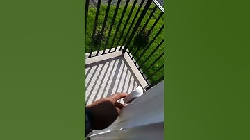 Nest doorbell chime not working (easy fix) read below⬇️⬇️⬇️