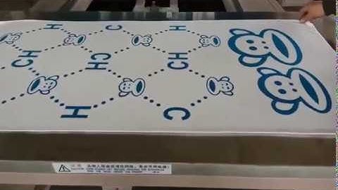 Flat bed Screen Printing Machine with Shuttle Worktable