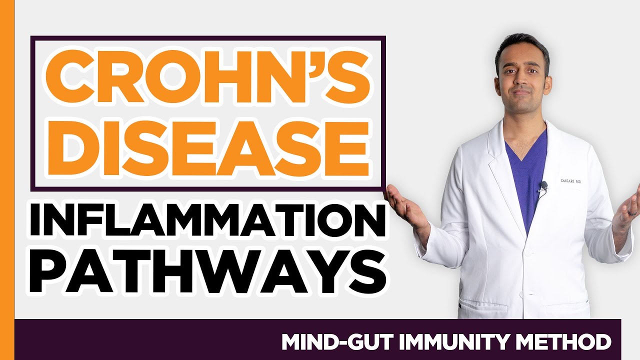 [3 Types of Inflammation] Crohn's Disease, IBD specialist Colon Surgeon