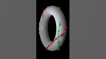 Geodesics on a donut universe