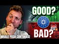 CARDANO ADA - Good &amp; Bad Headed Into Weekend! Whale Push Continues!