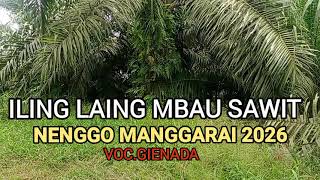 ILING LAING MBAU SAWIT - LAGU NENGGO MANGGARAI TERBARU 2026 🔥🔥🔥