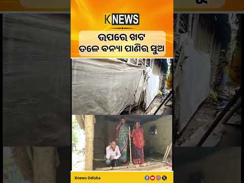 ବନ୍ୟା ପରେ ବନ୍ୟା, ବେହାଲ ଭଦ୍ରକ; ୪୩ ପଞ୍ଚାୟତର ୧.୭୬ ଲକ୍ଷ ଲୋକ ପ୍ରଭାବିତ | Knews Odisha