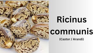 Castor / Arandi  ( organic irritant)