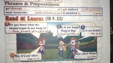 unit 2 part 3 connect plus primary 3  الوحدة الثانية كونكت بلس الصف الثالث الابدائى