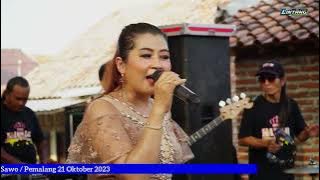 KAISAR RD 13 Camelia 1 Mimin Aminah