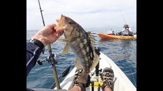 Catch me if you can! kayak fishing out of southern california (redondo
beach) off my hobie kayak.