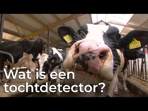 Video: Wat Is Een Toewijzende Boerderij?