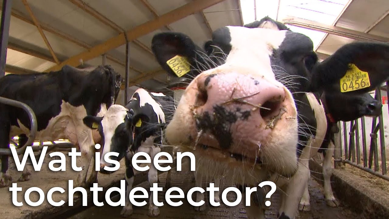 Wat is een tochtdetector? | Boer zoekt Machine | Het Klokhuis