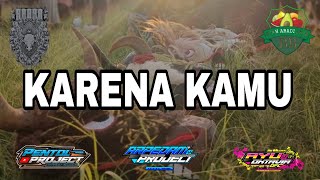 KARENA KAMU DJ BANTENGAN SAPI BRANGUS collab @arpedamproject