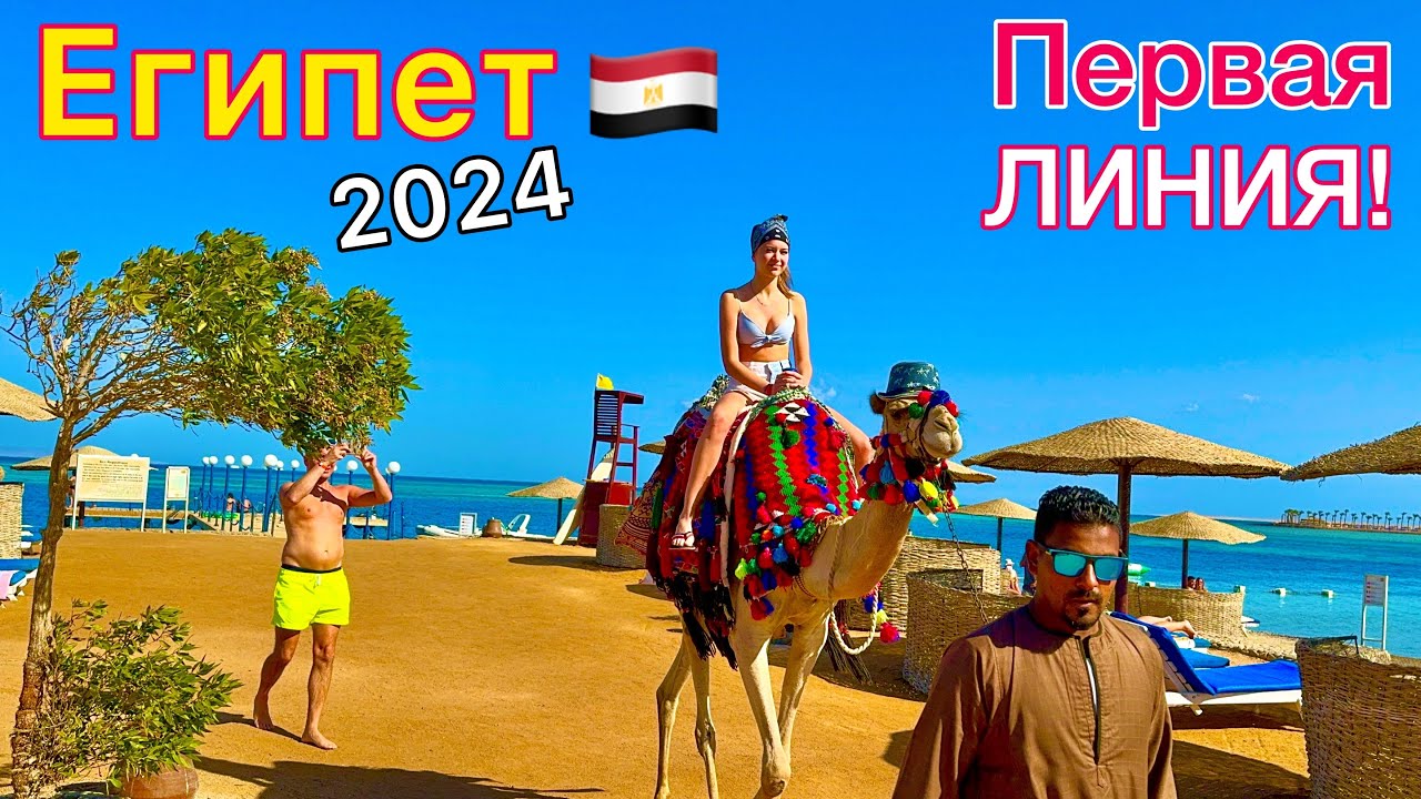 Египет 2024 море