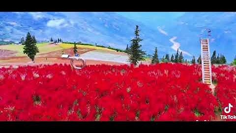 Thảo nguyên Suôi Thầu, huyện Xín Mần, tỉnh Hà Giang.