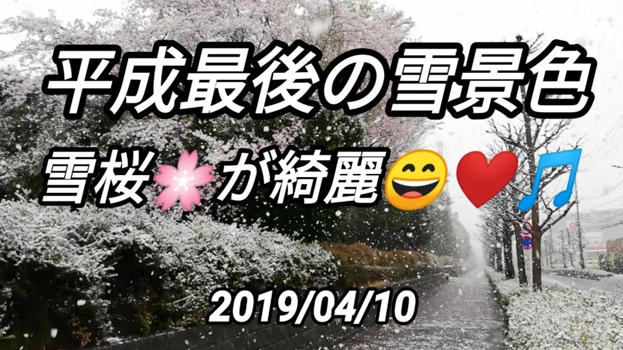 19 04 10 平成最後の雪景色 雪桜 が綺麗 Youtube
