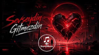 Sevseydin Gitmezdin - Sheref Şk Ilıkşarkısı