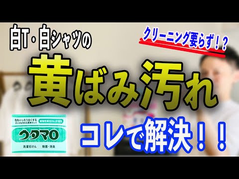 【簡単】白T・白シャツの黄ばみ汚れの落とし方【洗濯】