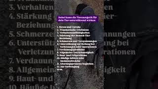 Dabei kann die Tierenergetik unterstützend wirken 😌