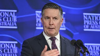 Labor’s NDIS reform more about ‘striking a pose’ than real change