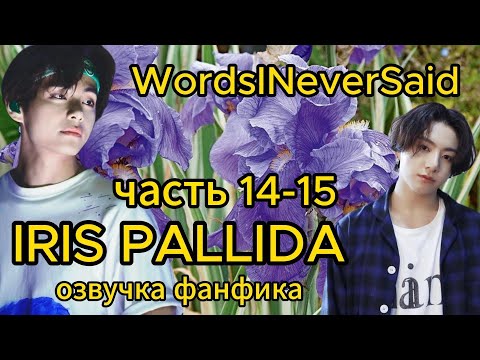 Iris Pallida Wordsineversaid Часть 14-15 Bts Фанфикибтс Озвучкафф Вигуки Юнсоки