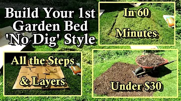 Build Your 1st Tomato and Pepper Garden 'No Dig' Bed Today:  All the Easy Steps & Practically Free!