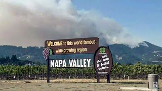 UC Davis Researchers Study Effects of Wildfire Smoke on Wine Grape Harvest