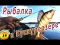 #19 Рыбалка в Куккуреозере | Грибная охота | На байдарке по озеру Кереть 2020