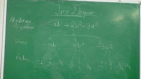 || NCERT || Class 7 || Tree diagram || Algebraic Expressions||