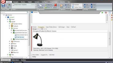 Sitecore Accessibility Validation