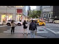 La Fifth Avenue in 4K