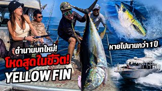 ตำนานบทใหม่โหดสุดในชีวิต Yellowfin หายไปนานกว่า 1 ปี